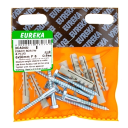 3CA04 - Coach Screw & Plug